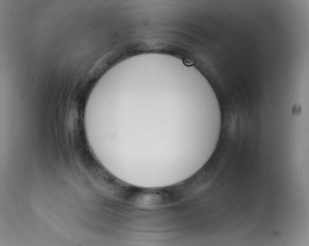 X0000112850220200909111452