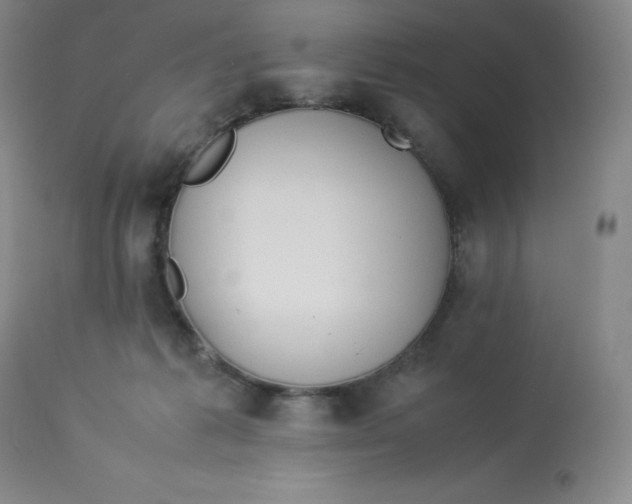 X0000112850221200909111452