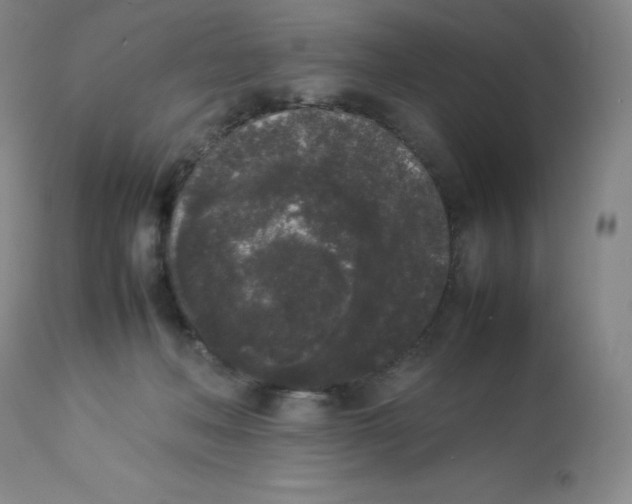 X0000112850222200909111452