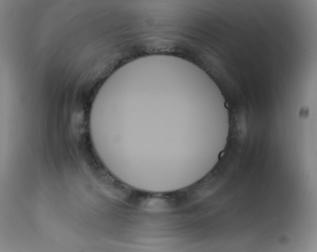 X0000112850224200909111452