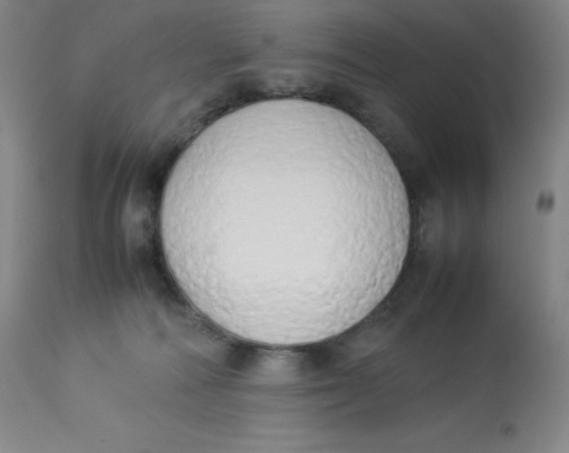 X0000112850226200909111452