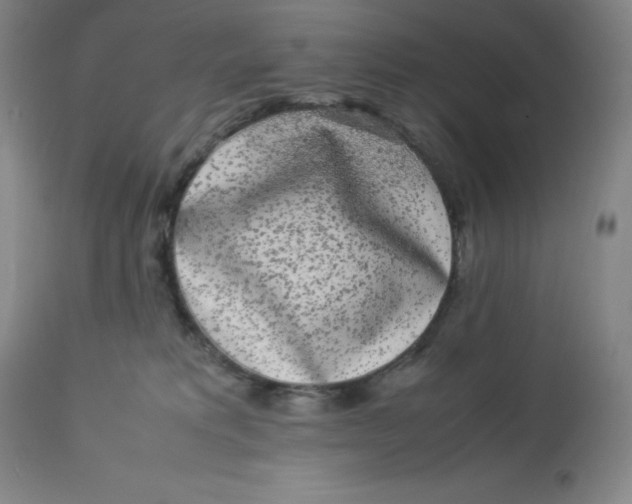 X0000112850229200909111452