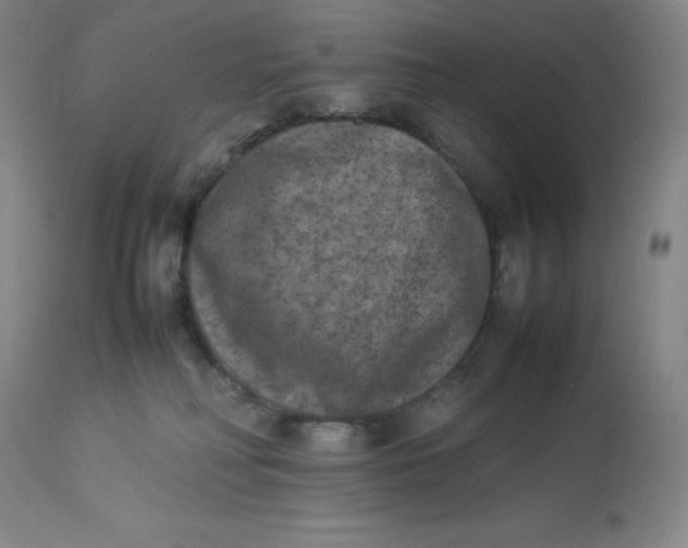 X0000112850230200909111452