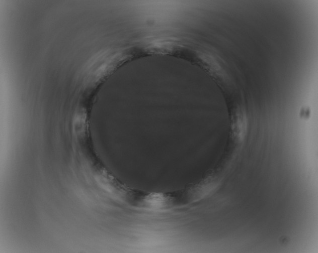 X0000112850231200909111452