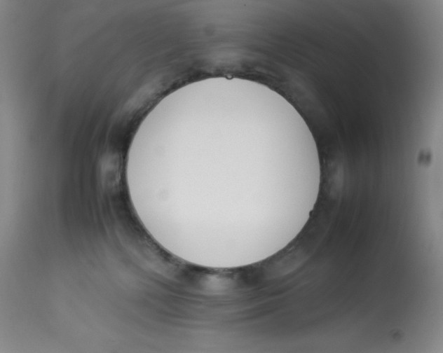 X0000112850232200909111452