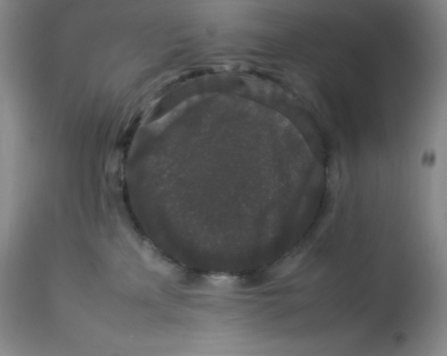 X0000112850233200909111452