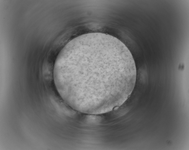 X0000112850234200909111452