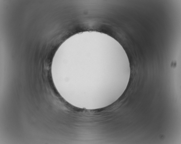 X0000112850235200909111452