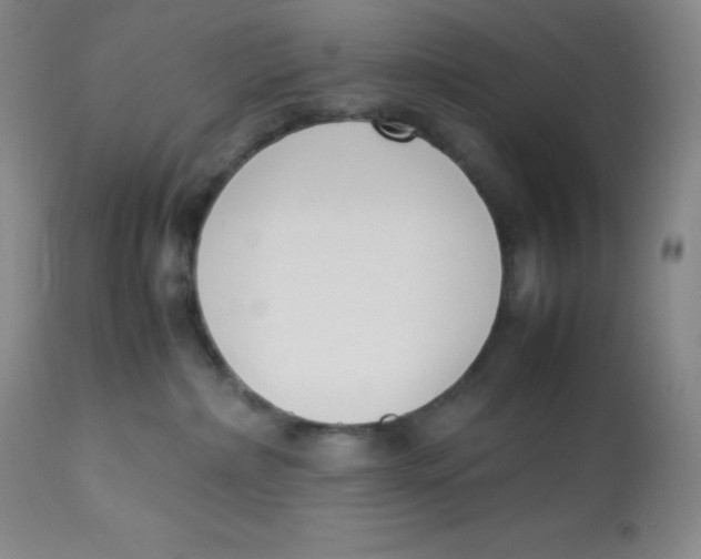 X0000112850236200909111452