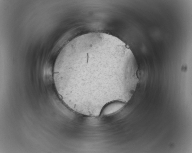 X0000112850238200909111452