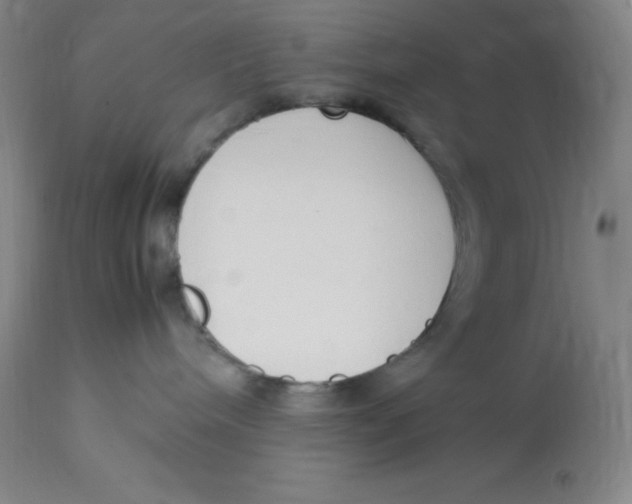 X0000112850240200909111452