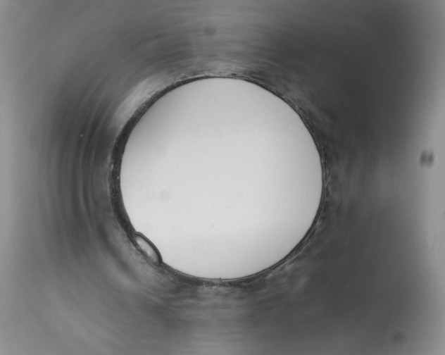 X0000112850242200909111452