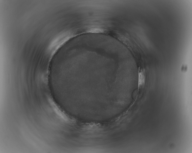 X0000112850243200909111452