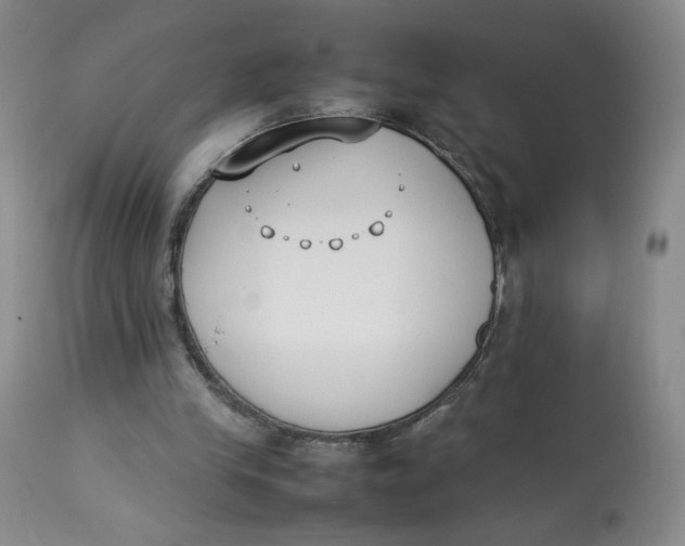 X0000112850245200909111452