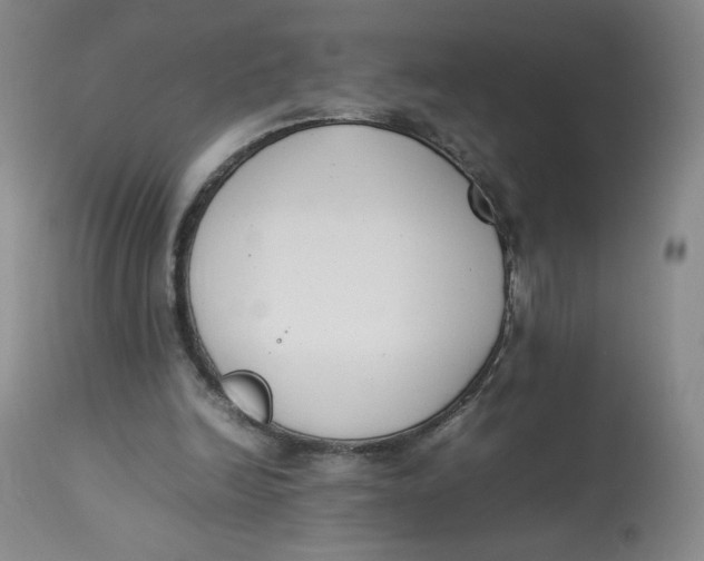 X0000112850246200909111452