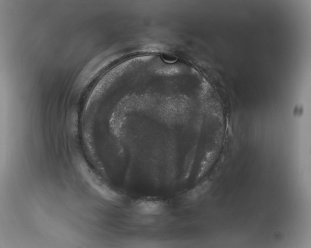 X0000112850247200909111452