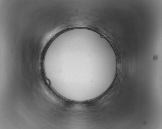 X0000112850248200909111452