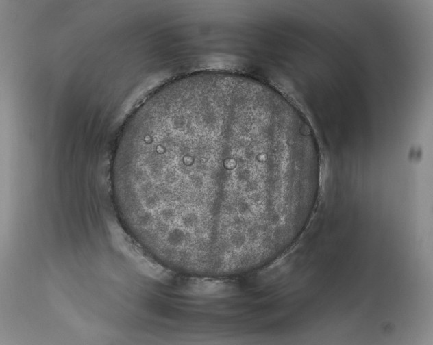 X0000112850249200909111452