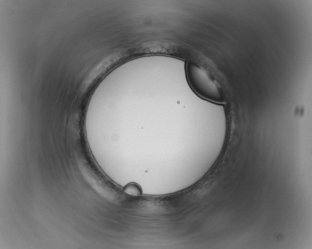 X0000112850250200909111452