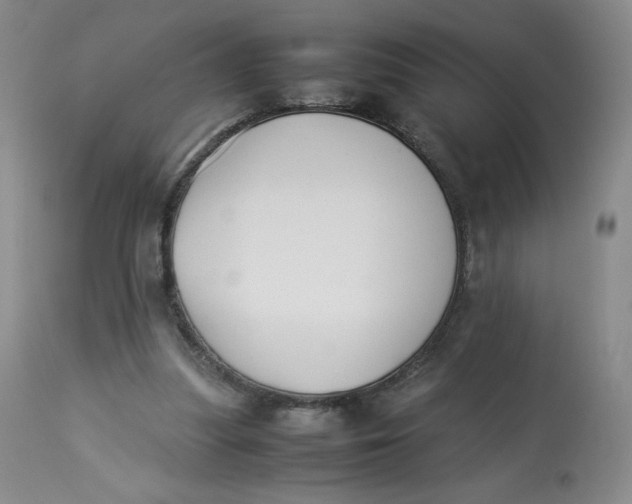 X0000112850251200909111452