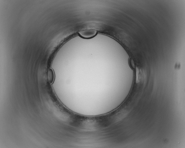 X0000112850252200909111452