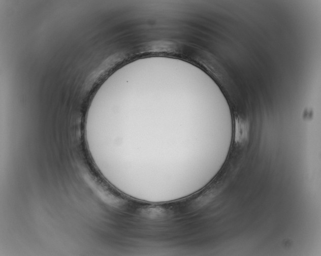 X0000112850253200909111452