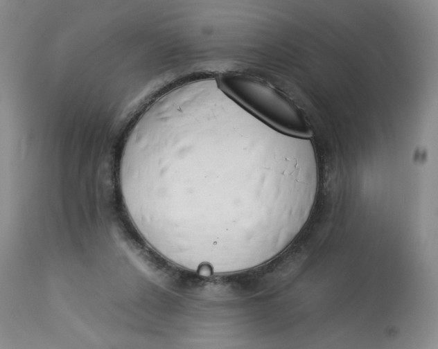 X0000112850256200909111452