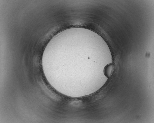 X0000112850257200909111452