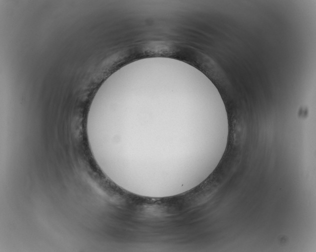 X0000112850259200909111452