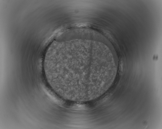 X0000112850260200909111452