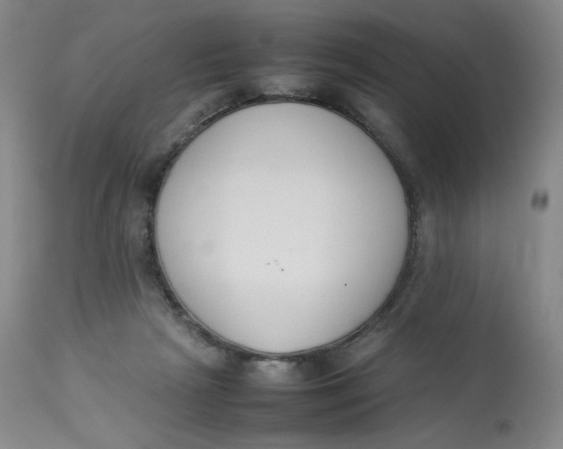 X0000112850265200909111452