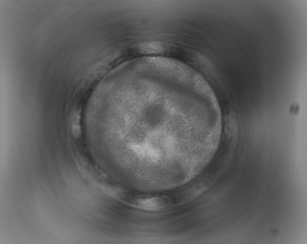 X0000112850267200909111452