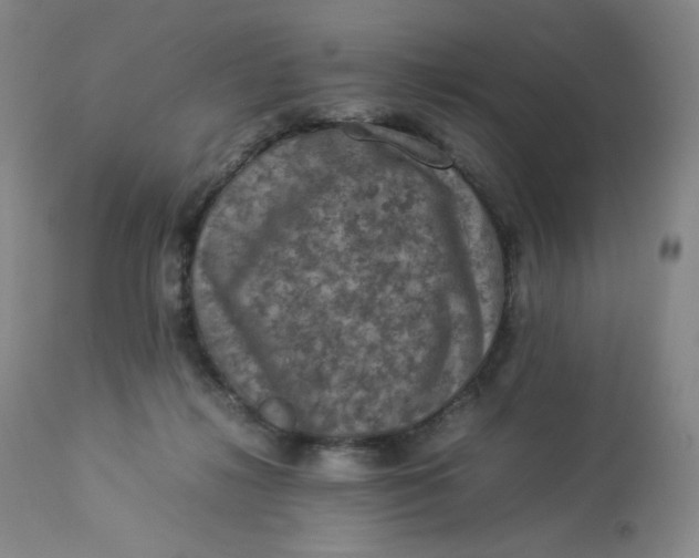 X0000112850268200909111452