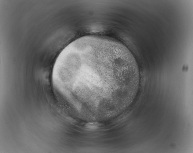 X0000112850269200909111452