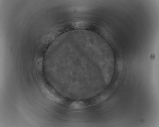 X0000112850271200909111452