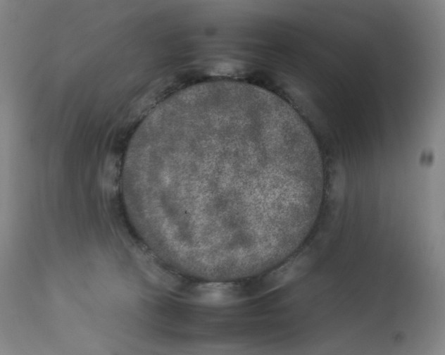 X0000112850273200909111452