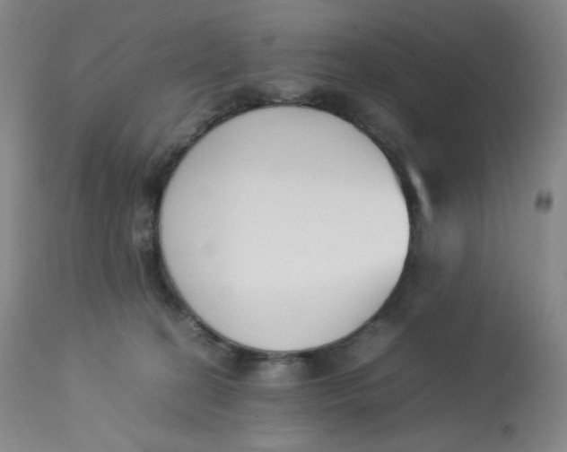 X0000112850274200909111452