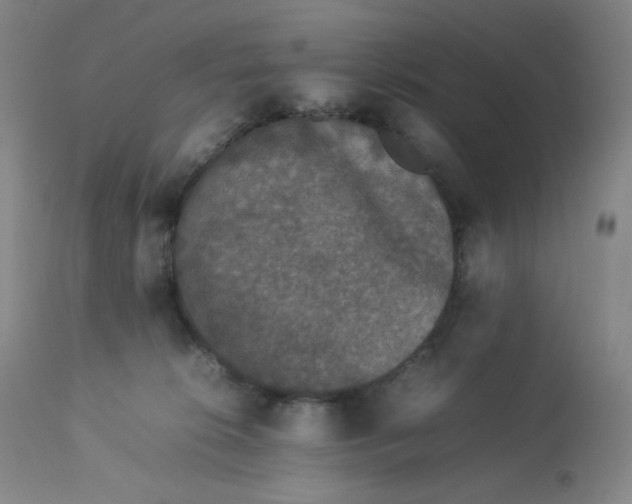 X0000112850276200909111452