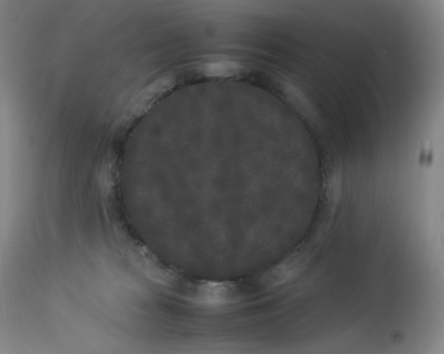 X0000112850277200909111452