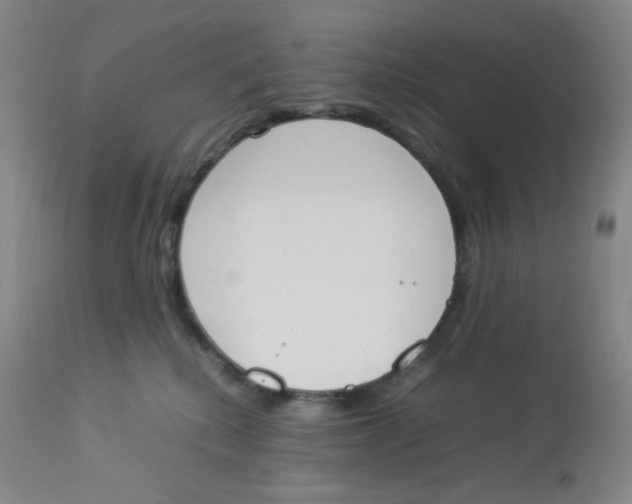 X0000112850280200909111452