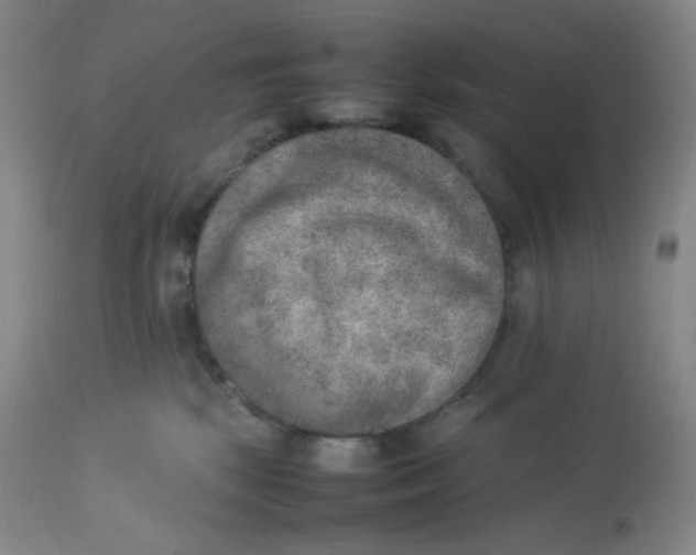 X0000112850281200909111452