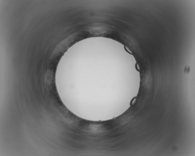 X0000112850283200909111452