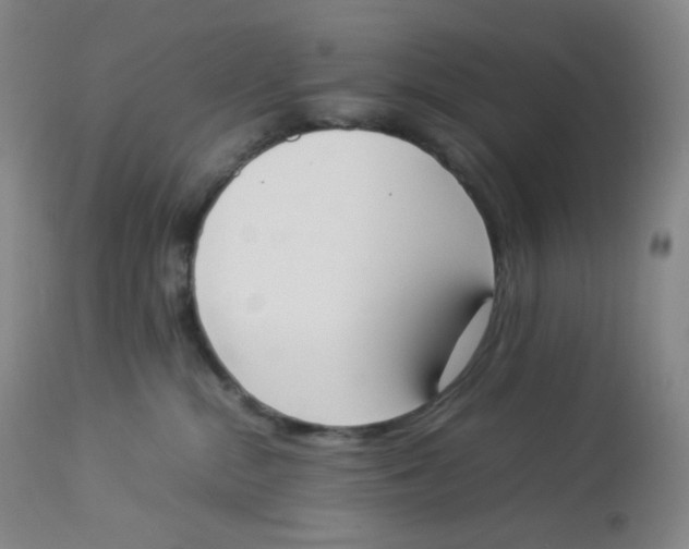 X0000112850284200909111452