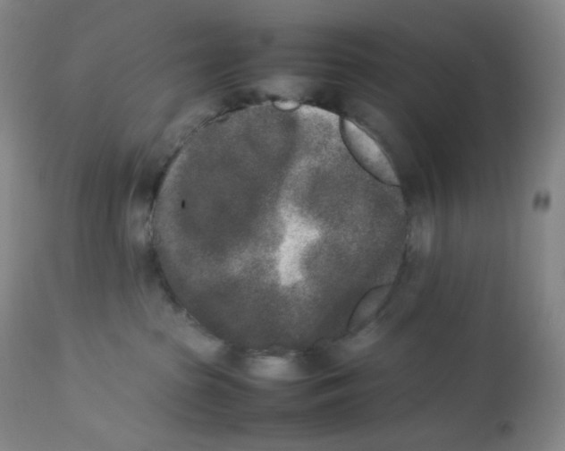 X0000112850285200909111452