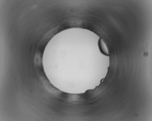 X0000112850287200909111452