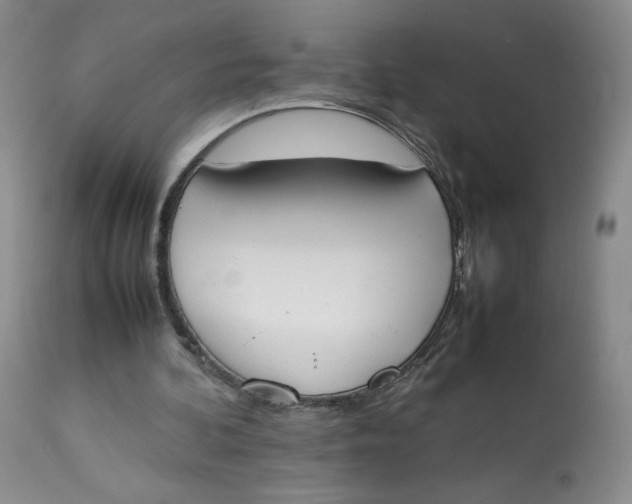 X0000112850292200909111452