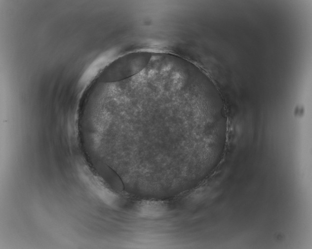 X0000112850296200909111451