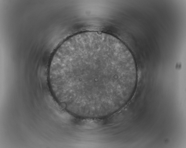 X0000112850297200909111451