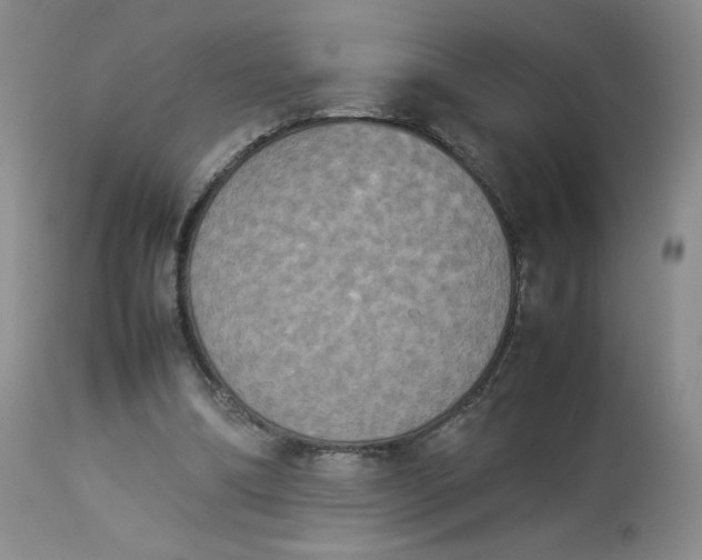 X0000112850298200909111451