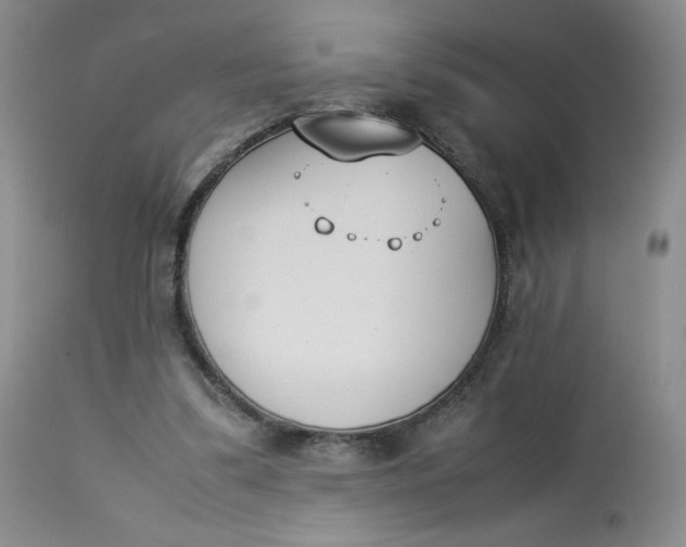 X0000112850299200909111451